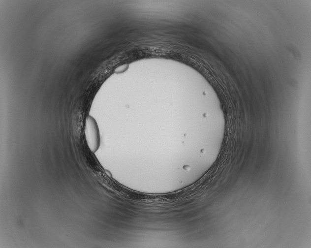 X0000111670752200908141428