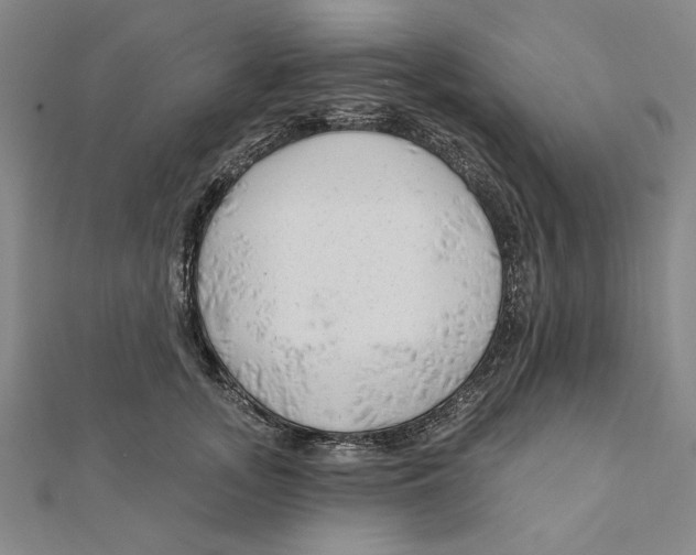 X0000111670755200908141428