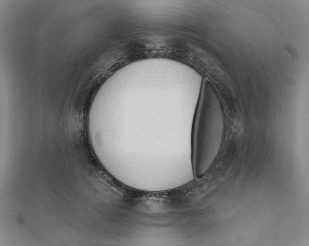 X0000111670756200908141428