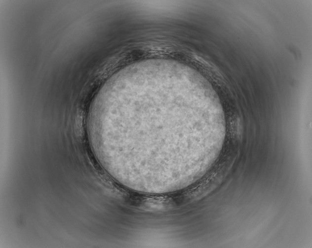 X0000111670757200908141428