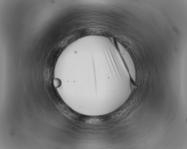 X0000111670759200908141428