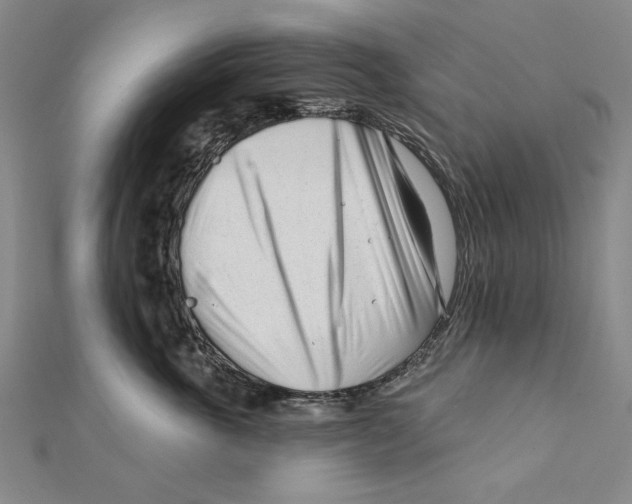 X0000111670763200908141428