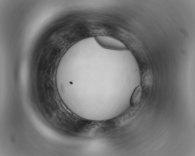 X0000111670764200908141429