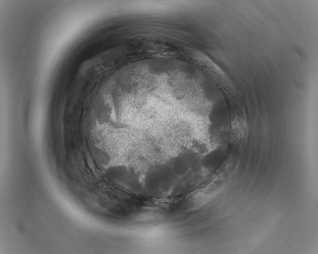 X0000111670765200908141429