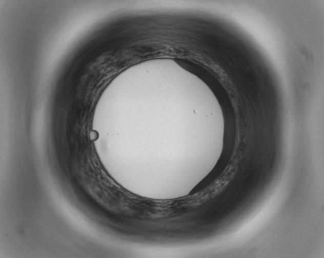 X0000111670766200908141429