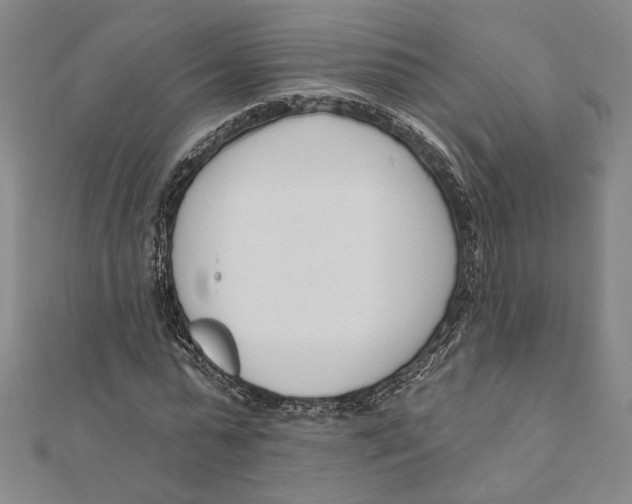 X0000111670775200908141428