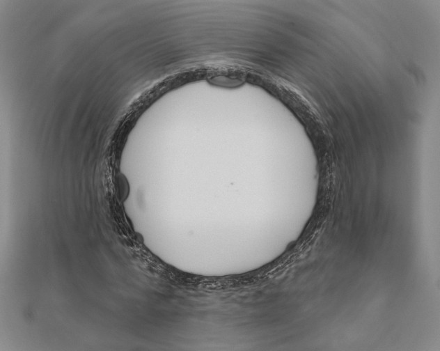 X0000111670776200908141428