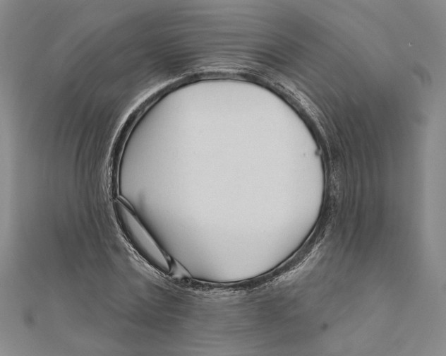 X0000111670779200908141428