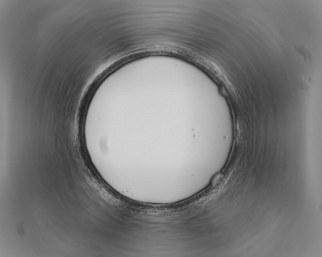 X0000111670780200908141428