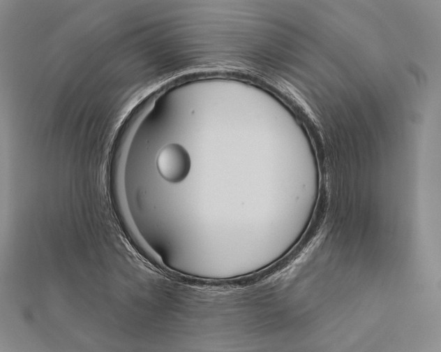 X0000111670781200908141428