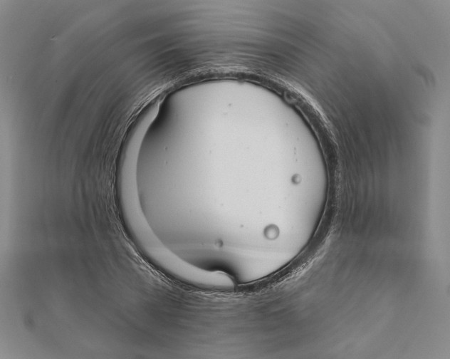 X0000111670785200908141428