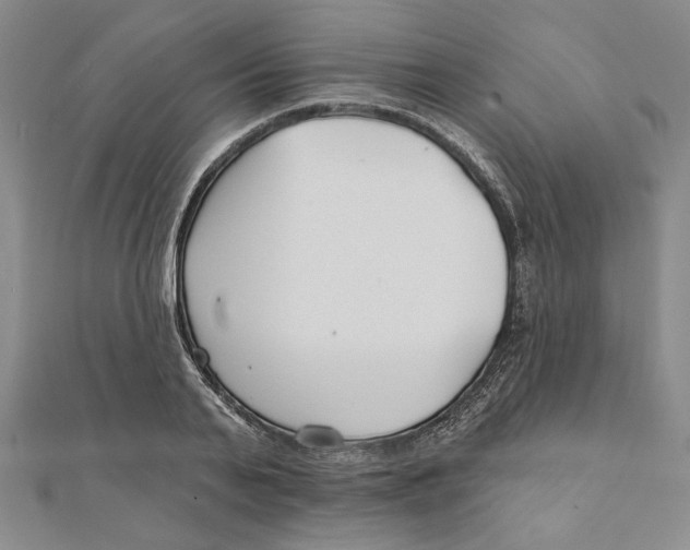 X0000111670791200908141427