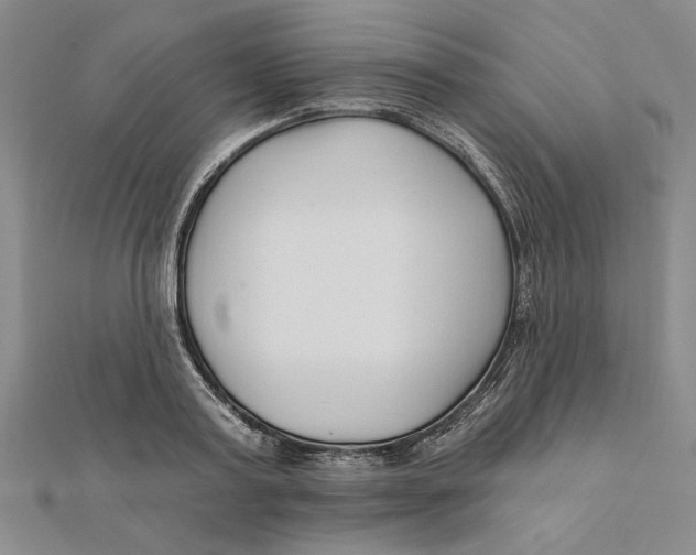 X0000111670795200908141427