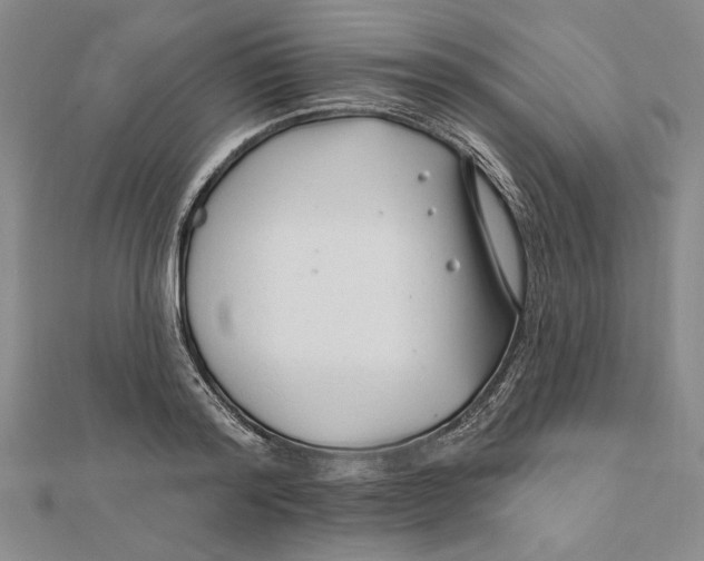 X0000111670796200908141427