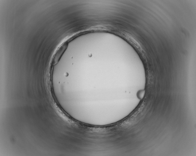 X0000111670800200908141427