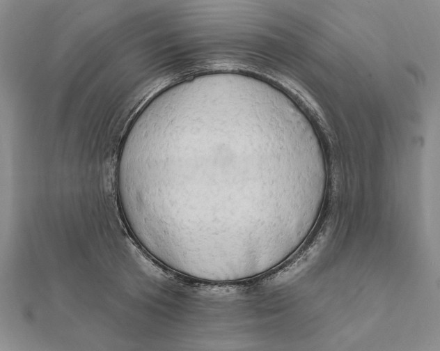 X0000111670801200908141427