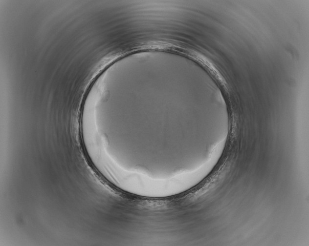 X0000111670802200908141427