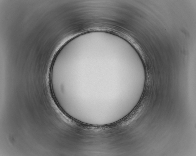 X0000111670803200908141427