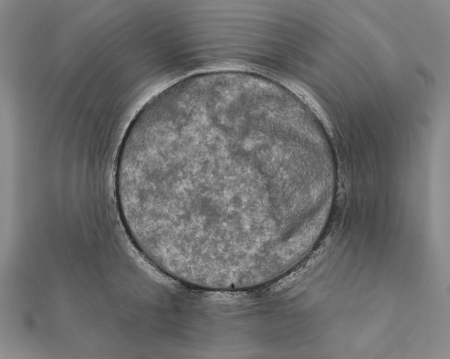 X0000111670805200908141427