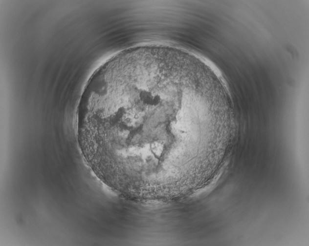 X0000111670807200908141427