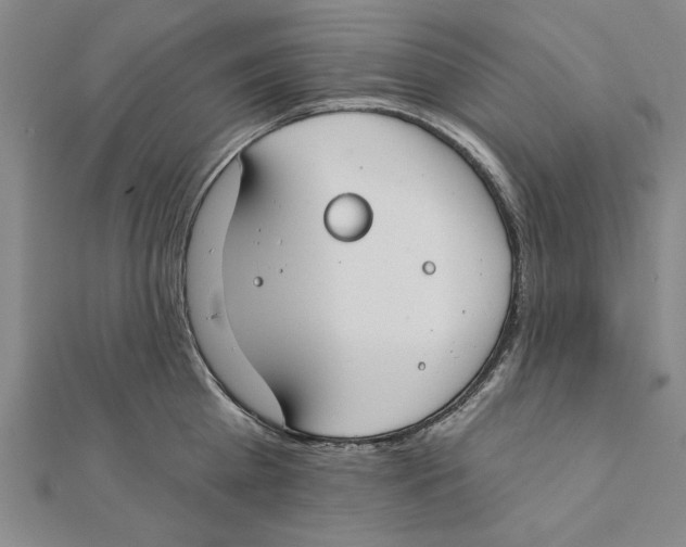 X0000111670809200908141427