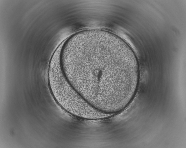 X0000111670810200908141427