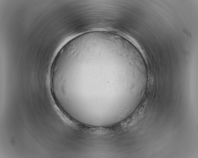 X0000111670811200908141427