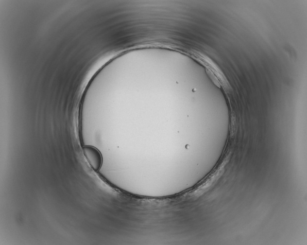 X0000111670812200908141427