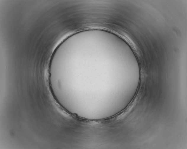 X0000111670814200908141427