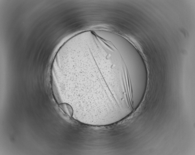 X0000111670816200908141427