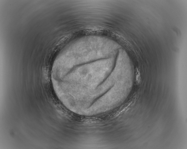 X0000111670819200908141427