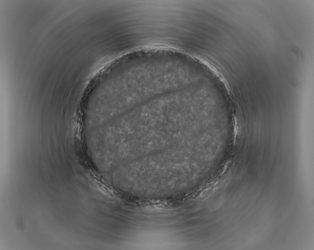 X0000111670823200908141427