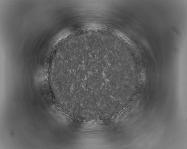 X0000111670824200908141427