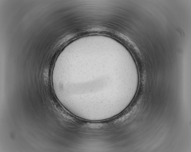 X0000111670825200908141427