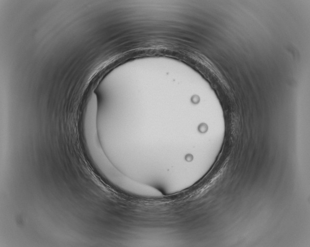 X0000111670826200908141427