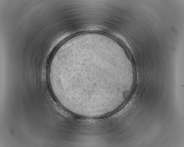 X0000111670827200908141427