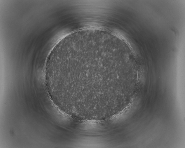 X0000111670828200908141427