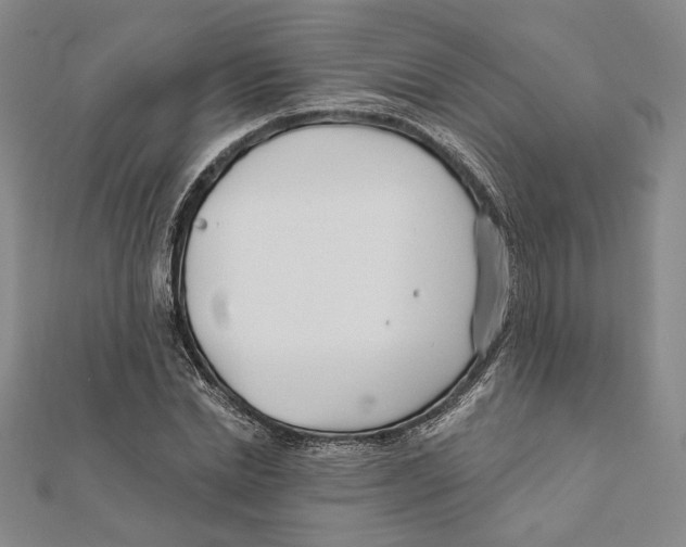 X0000111670830200908141427