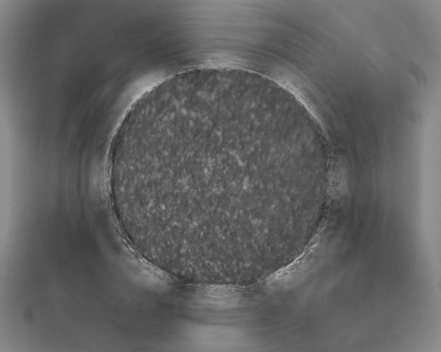 X0000111670832200908141427