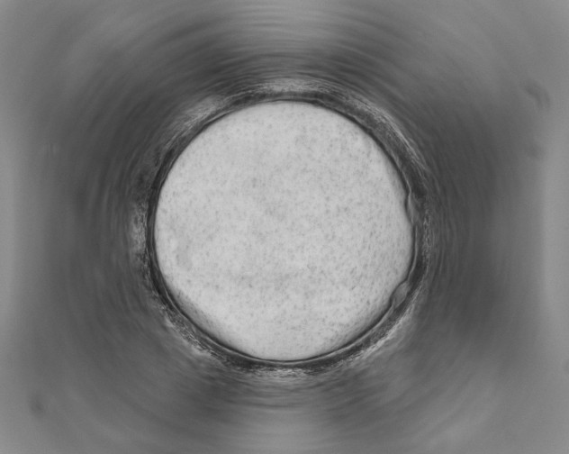 X0000111670833200908141427