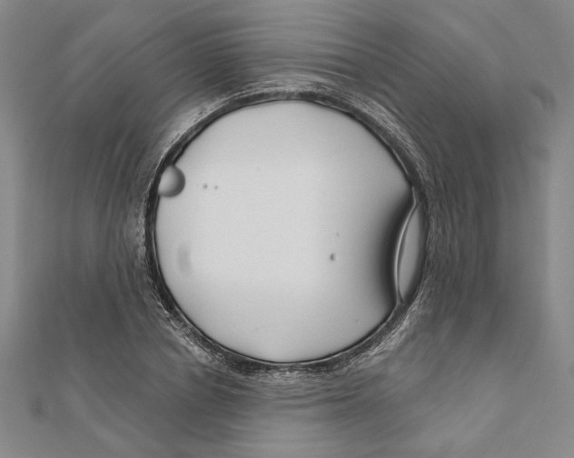 X0000111670834200908141427