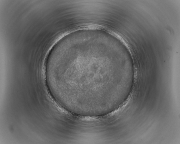 X0000111670835200908141427