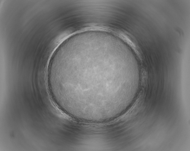 X0000111670836200908141427