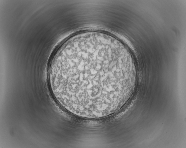 X0000111670839200908141427