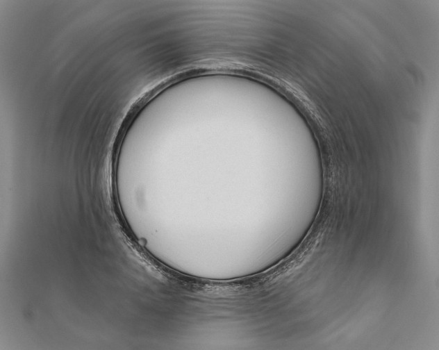 X0000111670840200908141427