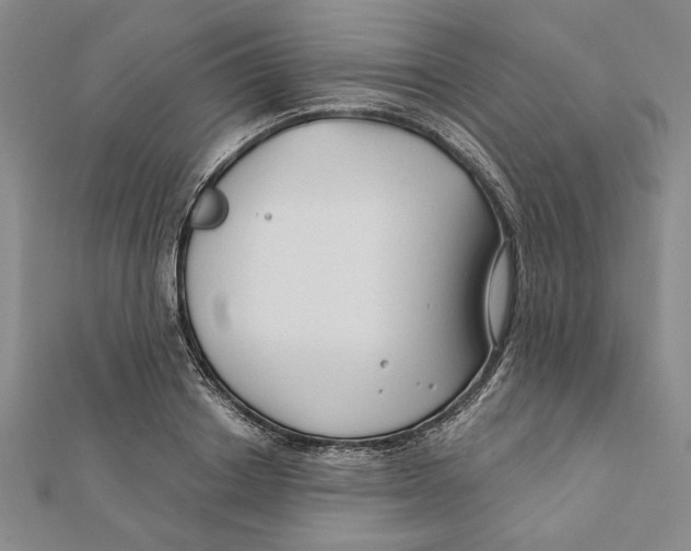 X0000111670842200908141427