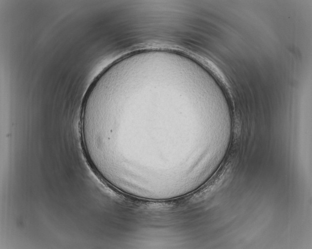 X0000111670847200908141427