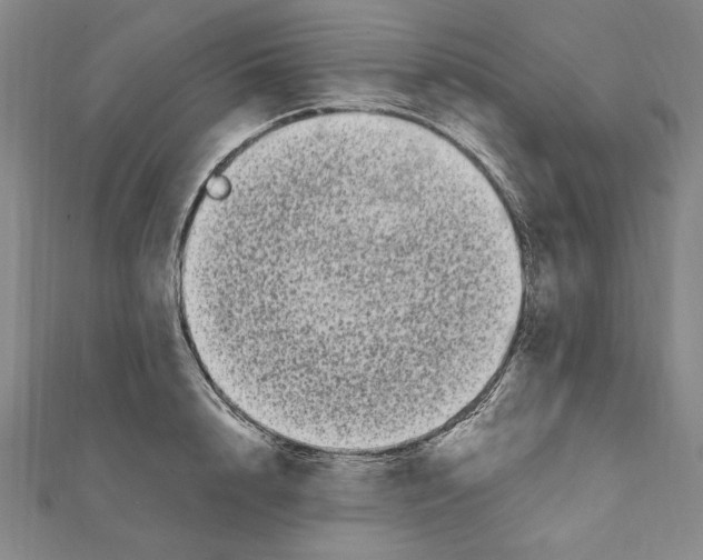 X0000111670848200908141427