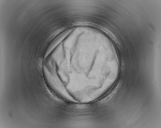 X0000111670849200908141427