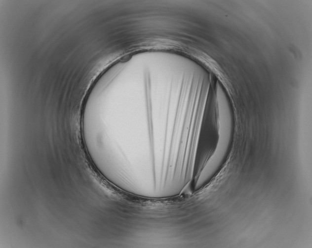 X0000111670850200908141427